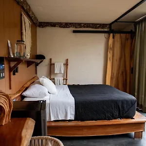 ** Hotel Bufo Alvarius Meksyk