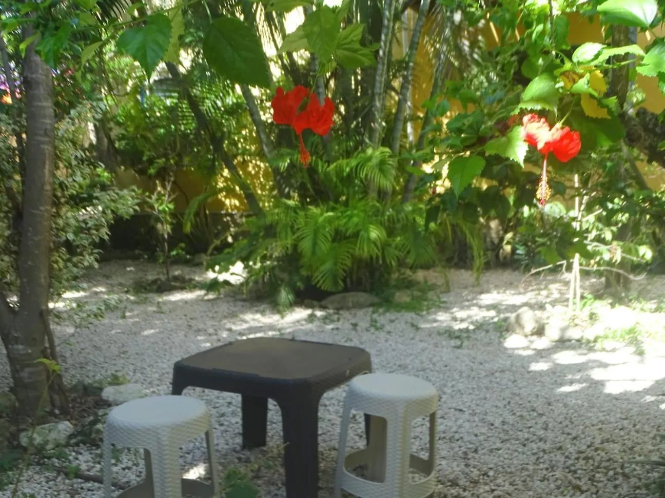 **  Hotel Casa Abanico Tulum Mexiko